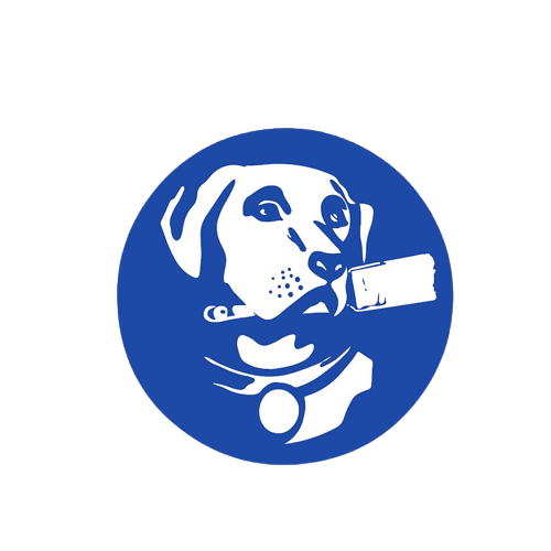 Blue Dog Pro Painters - Footer Logo